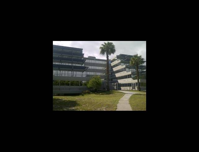 248M² OFFICE TO LET IN PINELANDS